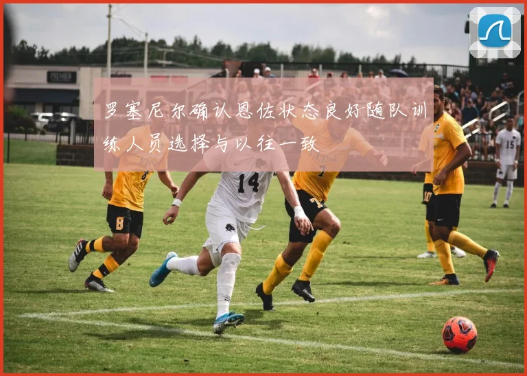 罗塞尼尔确认恩佐状态良好随队训练人员选择与以往一致